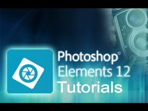 adobe photo elements 12 manual